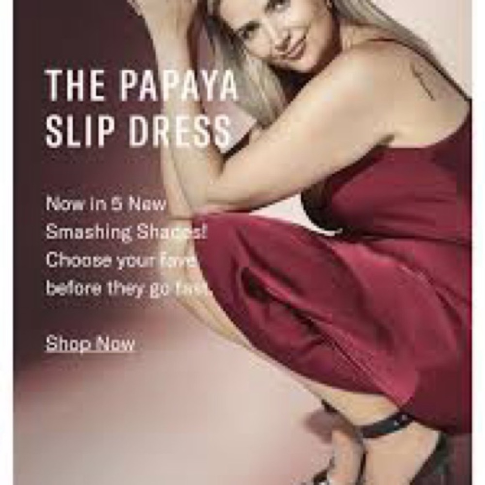 Knix x Birds of Papaya Slip Dress - Garnet - Picture 4 of 4